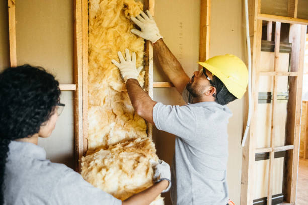 Best Insulation Installation Cost  in Crane, TX