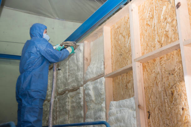 Best Professional Insulation Contractor  in Crane, TX