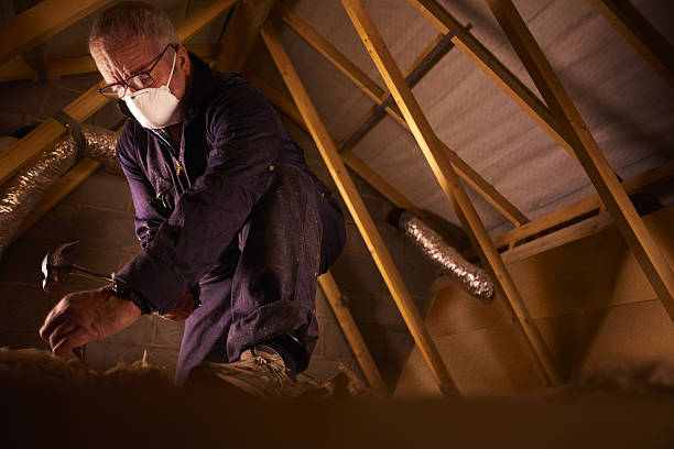 Insulation Replacement Services in Crane, TX